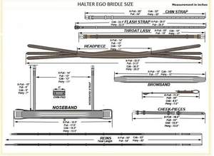 บังเหียนขี่ม้าหนังแห้งเร็วดีไซน์ตามสั่งสวมใส่สบายและมีสไตล์ - Product Image 3