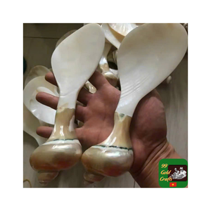 Cuchara de concha marina de comedor fina hecha de madre perla de concha Ideal para servir caviar en ambientes culinarios de lujo - Product Image 4