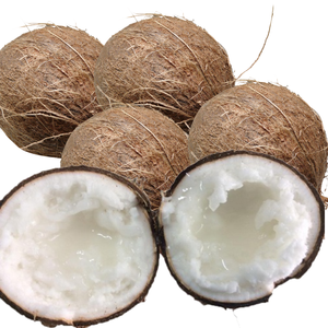 Macapuno noix de coco entière/fruits biologiques en gros du Vietnam - Product Image 3
