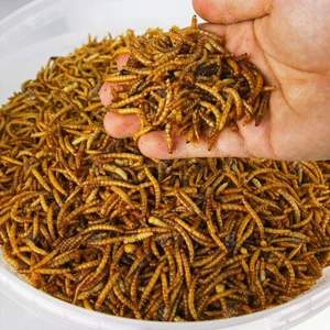 <b>Dried</b> <b>Mealworms</b> High Protein Natural Feed/Katty - Product Image 1