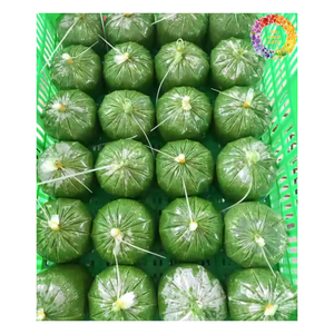 Venta al por mayor de hojas de yuca congeladas, tapioca picada congelada/hoja de yuca para exportación, hoja de yuca triturada congelada de alta calidad - Product Image 1