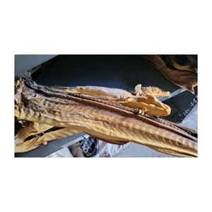 Stockfish sec de la Norvège à vendre/StockFish séché/poisson congelé - Product Image 5