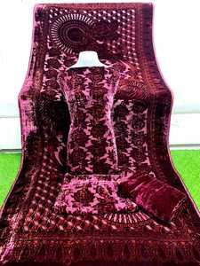 Terciopelo pakistaní mujer ropa hermosa Nakshi Dabka pakistaní mujeres vestido de novia invierno última colección paquistaní - Product Image 4