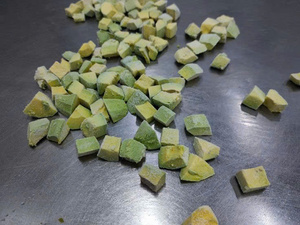 HIGH QUALITY FROZEN AVOCADO BULK EXPORT FROM VIETNAM WITH PURE NATURAL TASTE AND COLOR - Product Image 2