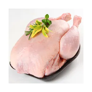 Poulet et pièces de poulet halal entiers congelés Poulet congelé entier halal de qualité