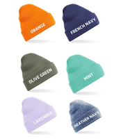Gorro personalizado con logotipo bordado de fábrica de Vietnam, gorro personalizado para hombre y mujer, gorro de invierno, Parche de cuero, MOQ bajo, animado común