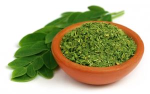 Hoja de Moringa Silvestre de la India, Polvo de Moringa Orgánico Premium, Rico en Proteína Vegetal y Vitaminas, Exportación a Granel, Etiqueta OEM Disponible - Product Image 6