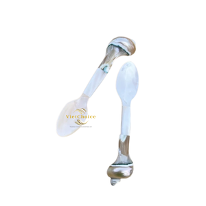 ช้อนเปลือกหอยรักษ์โลก ช้อนเปลือกหอยธรรมชาติสำหรับกาแฟ ชา และของหวาน - Product Image 5