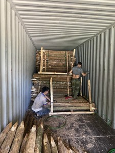 Estacas de Madera con un Extremo Puntiagudo en Oferta, Estacas de Madera para Jardín a Precio Económico para Soporte de Plantas, Estacado de Árboles y Paisajismo - Product Image 6