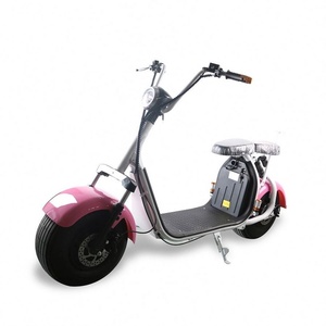 Bicicleta Eléctrica Plegable Mini de 13 Pulgadas, Lista para Enviar, Precio de Fábrica Leoncitycoco, 250W 36V - Product Image 2