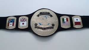 Wrestling Championship Belts Trophées Médailles et récompenses le symbole ultime de la victoire et de l'excellence Ceintures de championnat - Product Image 5