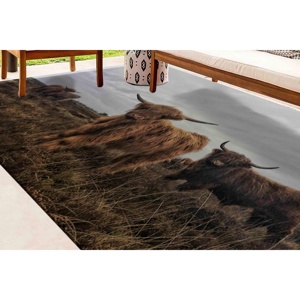 Alfombra con Diseño de Vaca Highland: Estampado de Animales Salvajes, Decoración de Oficina, Alfombra Delgada No Tejida - Product Image 5