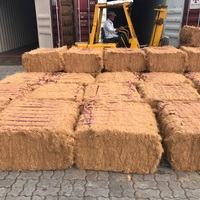 Fibre de coco en gros - ignifuge et résistante aux produits chimiques pour le filage et les fermes, matériau naturel en stock et livraison rapide