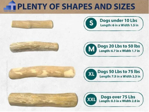 Vente chaude Durable mâcher café bois bâton forme chien jouet chien mâcher pour récompense pour la formation Fabriqué au Vietnam - Product Image 3