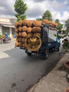 Sistema de control de erosión de fibra de coco muy fuerte, troncos de fibra de coco de Vietnam, esteras de fibra de coco para la erosión del suelo, muy alta calidad de Vietnam - Product Image 6
