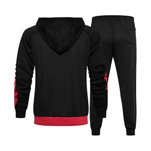 Ropa deportiva informal con capucha para hombre, chándal, ropa de calle, conjunto de pantalones de chándal para adultos, Invierno 100%, algodón, transpirable, secado rápido - Product Image 3