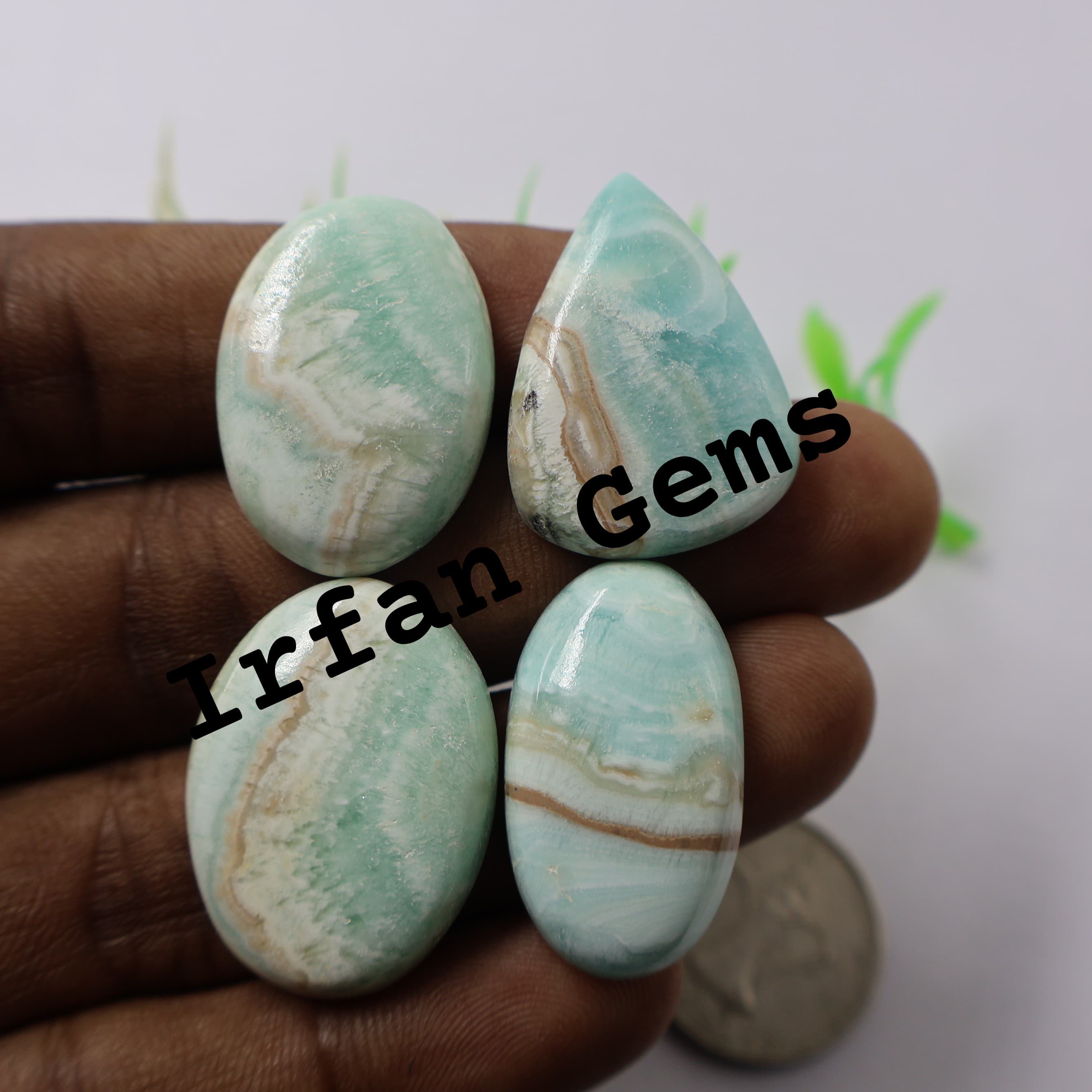 เห็นเป็นภาพ