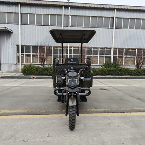 ¡OFERTA ESPECIAL! Triciclo de Carga a Gasolina OEM Popular de 200cc, Refrigerado por Agua, con Capacidad de Carga de 1500kg, Motocicleta de 3 Ruedas - Product Image 2