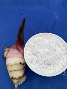 Harina de arrowroot vietnamita seca premium al por mayor. Sin Gluten, Natural, de Primera Calidad, Perfecto para Hornear y Cocina Asiática - Product Image 4