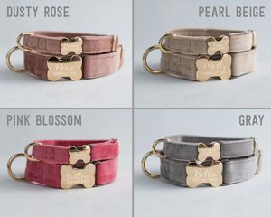 Personalized Tribal Dog Collar, Engraved <b>Webbing</b> Design, 1 Width for Dogs - Product Image 6