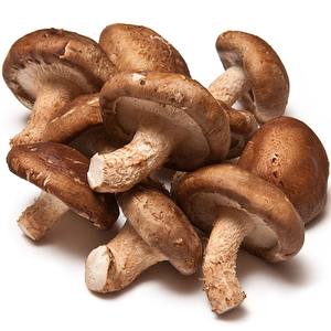 Suministro de fábrica de alta calidad deshidratado FD Shiitake para la venta - Product Image 1