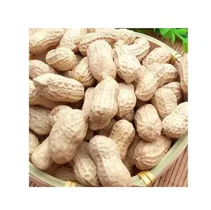 Produit en vrac d'arachide naturelle de haute qualité sans OGM cacahuètes crues naturelles pour la nourriture