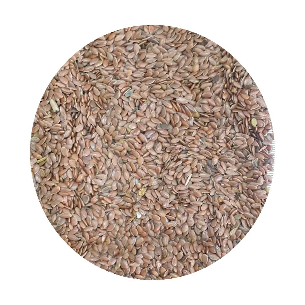 Flax seeds wholesale manufacturer prices flax seeds linseed for sale