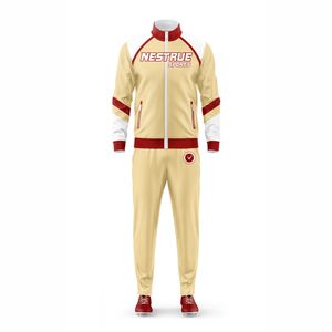 Venta al por mayor de alta calidad OEM personalizado impreso transpirable ligero 100% poliéster chándal de dos piezas conjunto de cremallera Fly hombres - Product Image 6