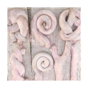 Cheap price <b>beef</b> pizzle arranged for bulk procurement with consistent quality - Product Image 5