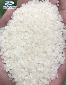 ข้าวญี่ปุ่นแบบเม็ดยาว84 924 736232เคลวินบาสมาติริซข้าวญี่ปุ่นมาตรฐานสากลโรงงานเวียดนาม