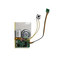 Module d'enregistrement sonore rechargeable par batterie avec entrée AUX, longue durée d'enregistrement, déclenché par un bouton-poussoir, capteur magnétique, capteur de lumière