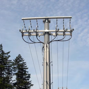 Sợi thủy tinh <span class=keywords><strong>Composite</strong></span> cực cho cơ sở hạ tầng-Trung Quốc FRP GRP tiện ích cực nhà sản xuất giá nhà máy - Product Image 1