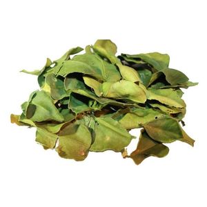 Kaffir Lima Hoja Seca Shauknu venta al por mayor Vietnam la forma de dos hojas fusionadas verde oscuro y brillante con un brillo - Product Image 1