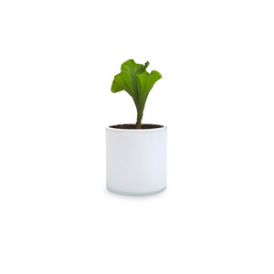 VCY0606WT - Vase cylindrique en verre blanc - 6 x 6 - Product Image 6