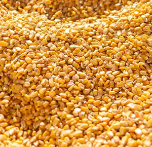 Maïs jaune séché de bonne qualité Maïs rouge blanc Maïs soufflé maïs Kernal pour la consommation humaine
