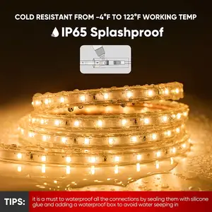 Bandes lumineuses à LED ETL Listed Flexible Cuttable LED Light IP65 Waterproof LED Light Strips