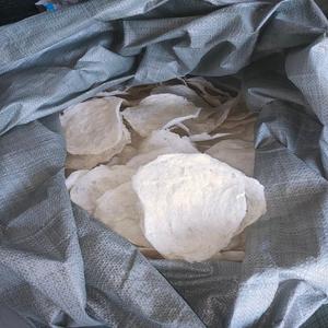 ปลาแห้ง Maw ที่มีมาตรฐานการส่งออกสูงที่มีอยู่ในสต็อกขนาดใหญ่ราคาขายส่งวันหยุด - Product Image 2