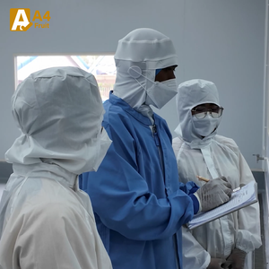 Mangoustan frais de qualité supérieure, provenant de sources durables avec un emballage avancé de Thaïlande - Product Image 4