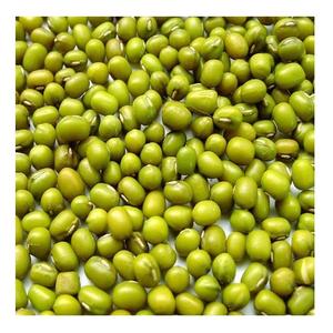 Proveedor Mayorista De Stock Fresco A Granel De Frijoles Mung Verdes/Frijoles Moong Enteros - Product Image 6