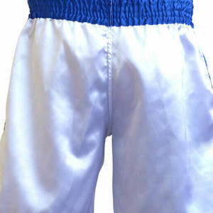 Short de MMA pour homme léger, meilleur matériau, vente chaude, tendance, disponible en prix de gros, short de MMA pour homme avec logo personnalisé - Product Image 5