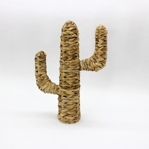Cactus de jacinto de agua Natural respetuoso con el medio ambiente, escultura de ornamento, objeto para decoración del hogar - Product Image 5