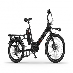 Vélo électrique Ecobikes Cargo en livraison directe - Product Image 2