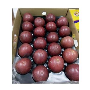 Fruta de la Pasión fresca del mercado de la UE de alta calidad 11 pcs/kg 2 kg/caja también disponible - Product Image 6