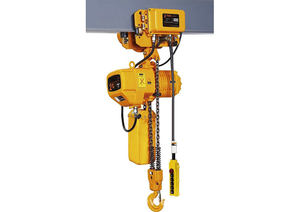 Kerekan rantai listrik 3Ton 1Ton, dengan kait Model <span class=keywords><strong>HHBB</strong></span> 220V untuk penggunaan industri kapasitas beban 500kg - Product Image 6