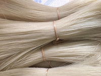 Nouilles de Konjac séchées en vrac, style Ramen, exportées du Vietnam