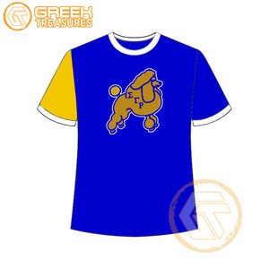 Vente en gros de t-shirt Sigma Gamma Rho pour femmes vêtements de sororité jersey de coton t-shirt respirant de haute qualité vêtements grecs pour femmes - Product Image 4