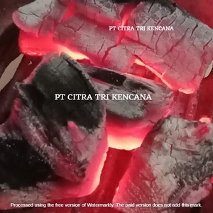 , NER, RARBBCCH,, ICCRL GGGRRdra Dra - Product Image 5