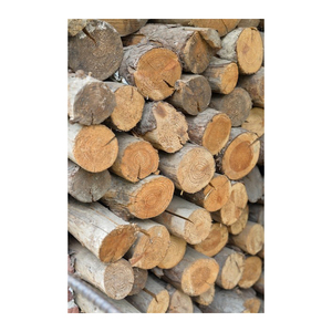 53. South Africa Pine Beech <b>Wood</b> Lumber Hot <b>Sale</b> Timber <b>Wood</b> <b>Logs</b> Factory Supply Oak Beech Hot Selling Product - Product Image 4