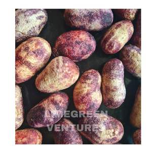 Jamun Seeds Wholesale Organic Syzygium Cumini Seeds Export India Bulk Exporter Supplier Double Tongues Brand 12 Months Shelf - Product Image 1