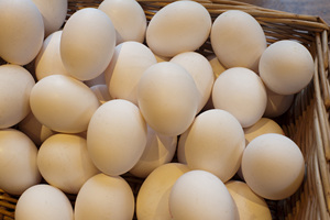 Œufs frais naturels blancs – Œufs de poule riches en protéines pour la cuisson, la pâtisserie, la cuisson à l'eau et la transformation alimentaire – Fournisseur en gros au Royaume-Uni – À vendre - Product Image 6
